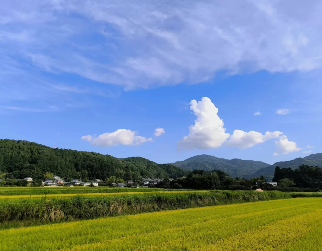 トップスライド画像